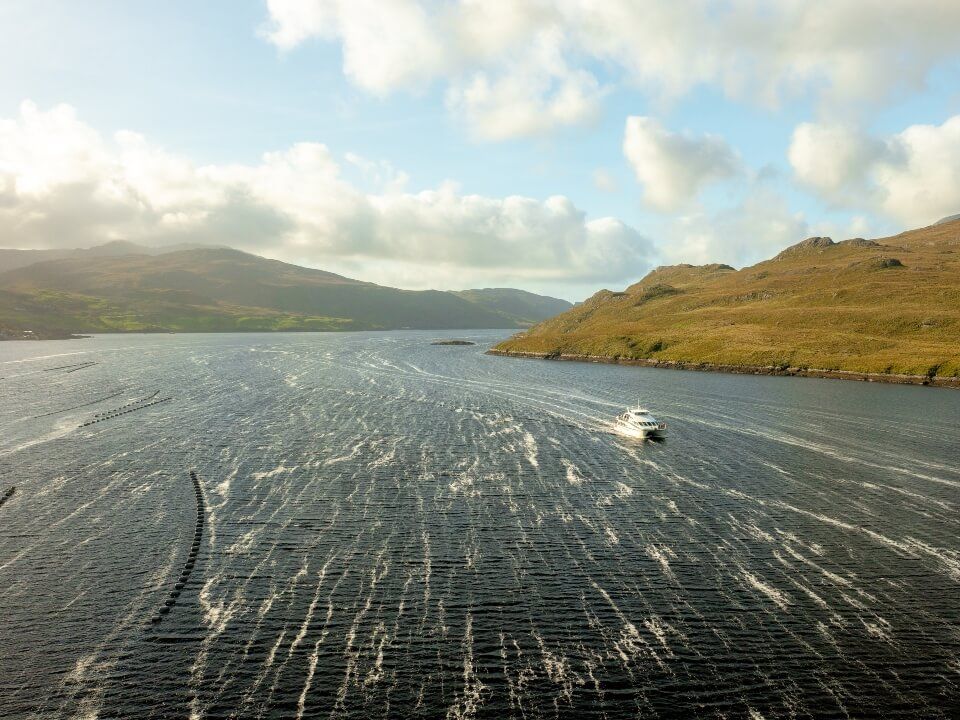 Galway Bay Boat Tours