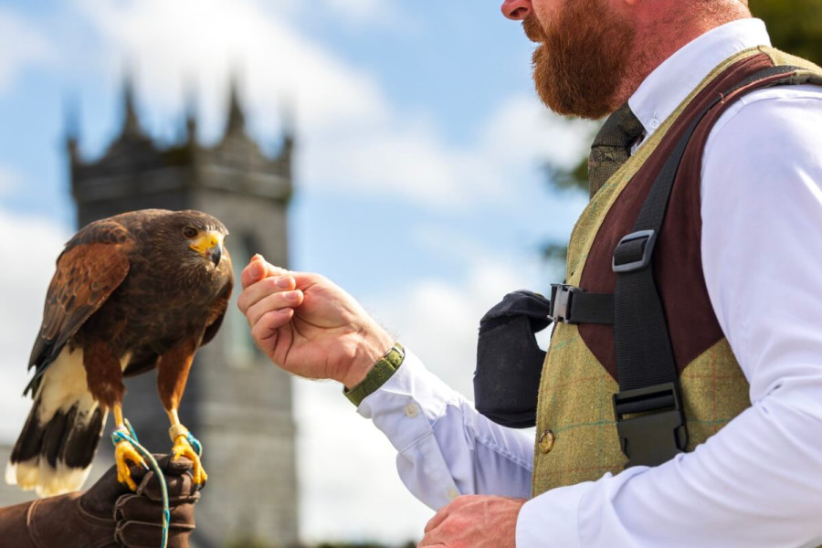 Falconry www.plmoknijbuhv.info