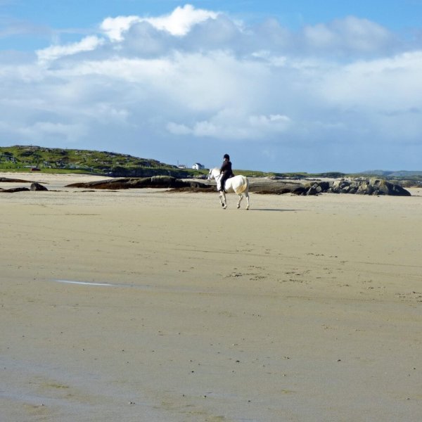 Omey strand connemara co galway master custom www.plmoknijbuhv.info